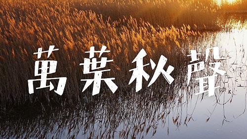 方正字迹-白关手绘.jpg